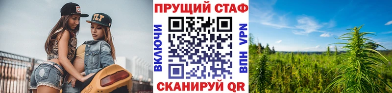 Наркота Суздаль Метамфетамин  АМФЕТАМИН  Alpha-PVP  Гашиш  Кокаин  Мефедрон  Канабис 
