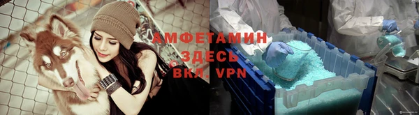 дживик Мегион