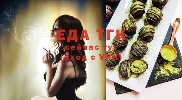 тгк Медногорск