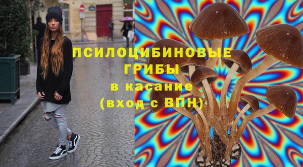 мяу мяу мука Абинск