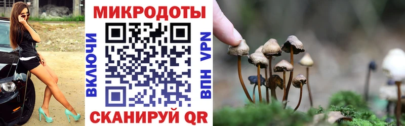 хочу Суздаль Галлюциногенные грибы Psilocybine cubensis