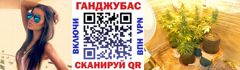 Канабис марихуана mega как войти Суздаль